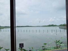 -东滩湿地公园观海楼餐厅