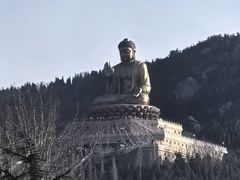 -龙口南山旅游景区
