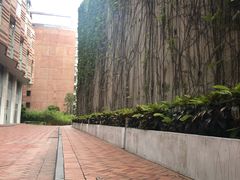 -香港大学
