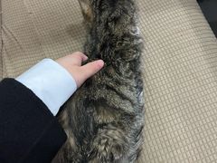 -延成苑韩式烤肉店(长春道店)