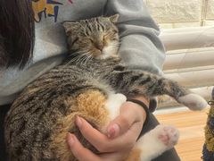 -平行世界·猫咖(首经贸店)
