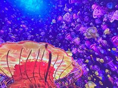 -海合安青岛极地海洋公园