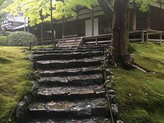 -西芳寺(苔寺)