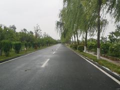 -洨河生态公园