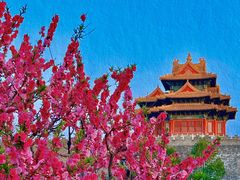 -故宫博物院(故宫)