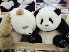 -熊猫邮局(少城店)