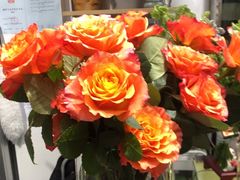 -FEI FEI FLOWER鲜花店·气球派对·宝宝宴布置(虹口德必运动Loft店)