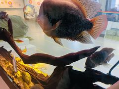 -弓舍射箭俱乐部(高新总店)