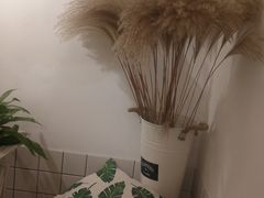 -白日梦奶茶