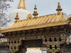 -护国法轮寺
