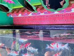 -厦门海底世界