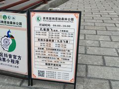 -西双版纳原始森林公园