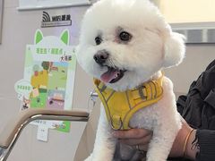 -万博宠物医院·手术·诊疗(未央凤城五路店)