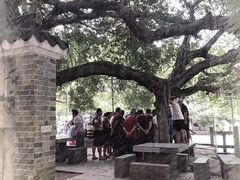 -小洲村