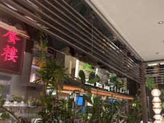 -桂满陇·海市蜃楼·黑金(国金店)