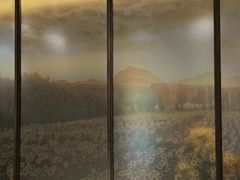 -巴盟人家·内蒙地方菜(华丽家族店)