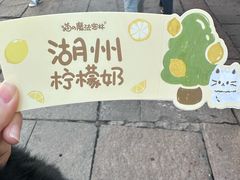 -猫的魔法密林(衣裳街店)