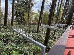 -莫干山风景区