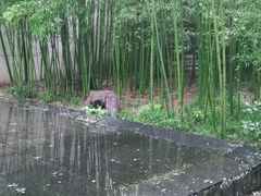 -陕拾叁(袁家村店)