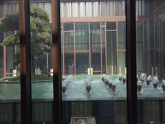 -上海崇明金茂凯悦酒店