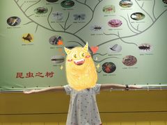 -上海昆虫博物馆