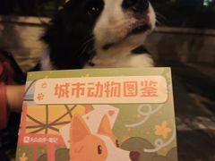 -瑞虹新天地月亮湾