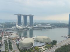 -新加坡瑞士史丹福酒店