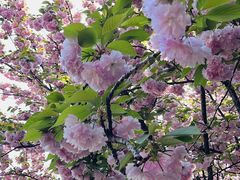 -苏州河梦清园环保主题公园