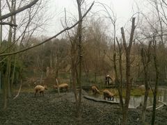 -溱湖国家湿地公园