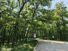 -南戴河国际娱乐中心