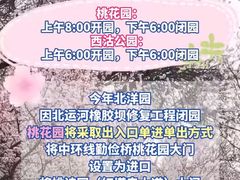 -桃花堤公园