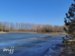 -东郊湿地公园