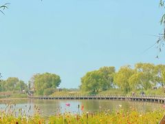 -野鸭湖国家湿地公园