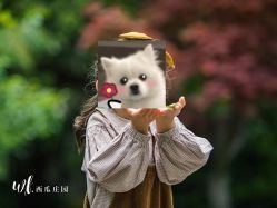 -西瓜庄园儿童摄影