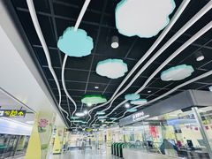 -杨柳河(地铁站)