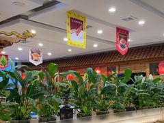 -大清花饺子(山庄店)