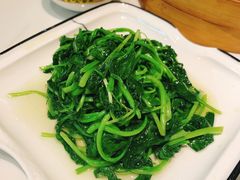 清炒鸡毛菜-19号私房菜(云南路店)