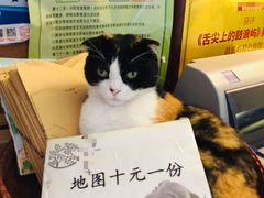 -杨桃院子旅馆(厦门鼓浪屿中华红墨店)