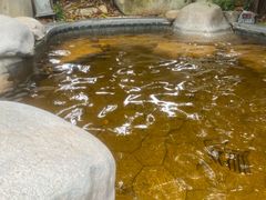 -水底山庄园温泉