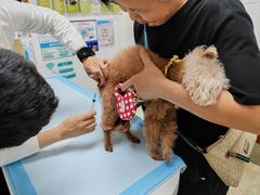 -美联众合动物医院·24h转诊中心