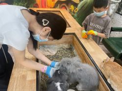 -神奇动物撸宠馆·羊驼·小浣熊·异宠(豫园店)