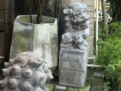 -菩提书坊(侨福大厦店)