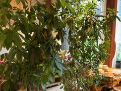 -慢丽江·云南野生菌土鸡锅(付家庄店)