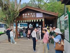 -野象谷景区