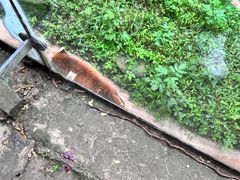 -都江堰中华大熊猫苑