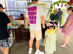 -马陆小张葡萄园农家乐