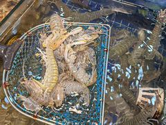 -明记海鲜大排档(巽寮湾店)