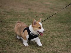 -钟山体育运动公园