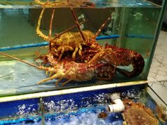 -海鲜城大家餐厅