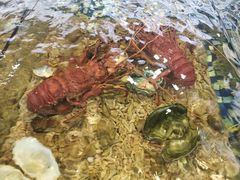 -顺德了能馆(虎门店)